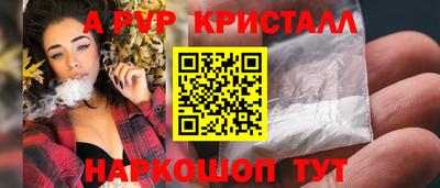 мдпв Кингисепп