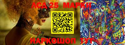 амф Кимры