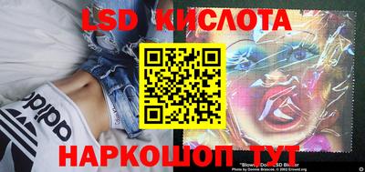 мдпв Кингисепп