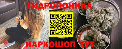 амф Кимры