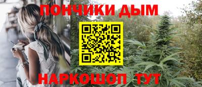 мдпв Кингисепп