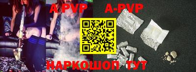 мдпв Кингисепп