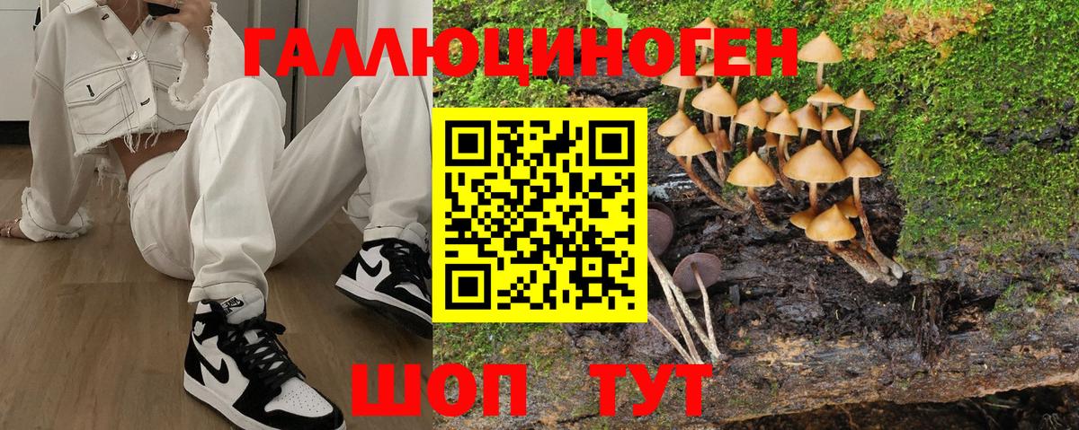 Псилоцибиновые грибы мухоморы Красноуфимск