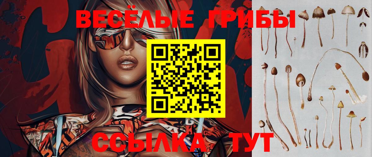 Красноуфимск  Галлюциногенные грибы Magic Shrooms  Вход с VPN 